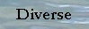  Diverse 